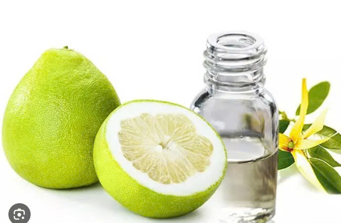 Grapefruit Oil/Tinh dầu bưởi